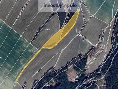 Prodej louky, Radiměř, 4554 m2