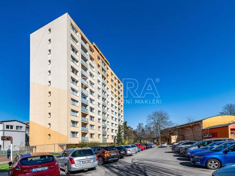 Pronájem bytu 1+1, Kralupy nad Vltavou, sídl. Hůrka, 30 m2