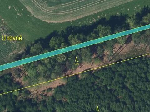 Prodej podílu lesa, Červený Kostelec, 4740 m2