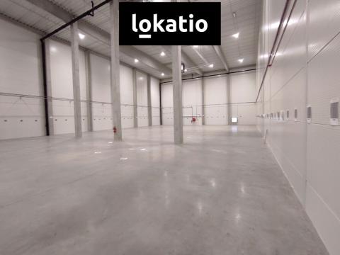 Pronájem skladu, Zdice, 944 m2