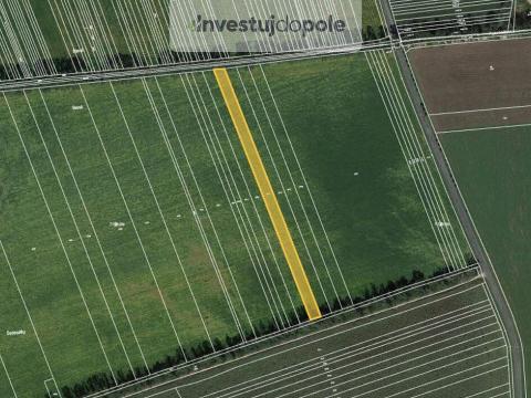 Prodej pole, Lipov, 4290 m2