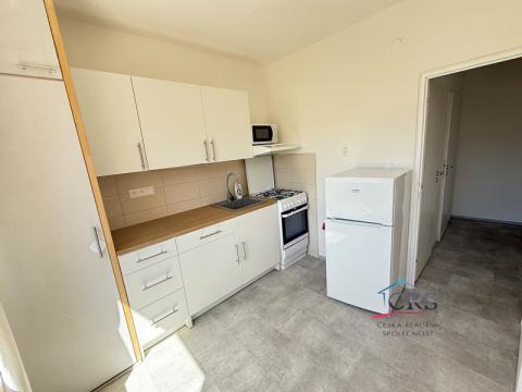 Pronájem bytu 1+1, Praha, Havířovská, 38 m2