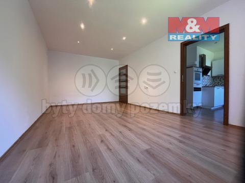 Pronájem bytu 2+1, Kostelec nad Černými lesy - Kostelec nad Černými Lesy, Dr. Trippé, 60 m2