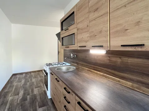 Pronájem bytu 2+1, Chomutov, Borová, 60 m2