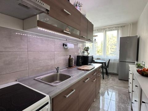Pronájem bytu 1+1, Děčín - Děčín VI-Letná, 44 m2
