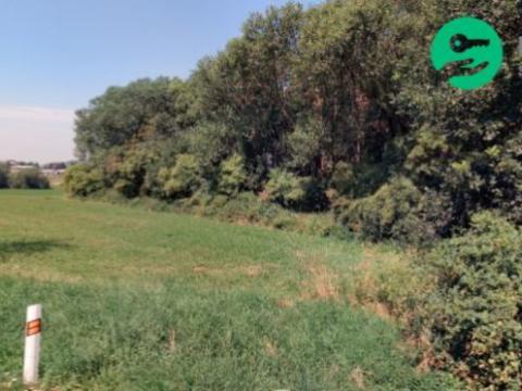 Prodej komerčního pozemku, Načeradec, 620 m2
