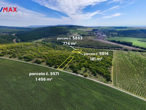 Prodej pole, Lovčice, 5541 m2