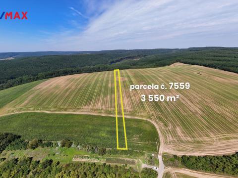 Prodej pole, Lovčice, 5541 m2