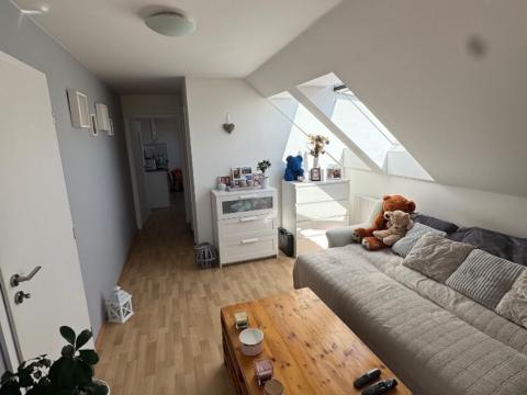 Pronájem bytu 2+1, České Budějovice - České Budějovice 7, nám. Bratří Čapků, 47 m2