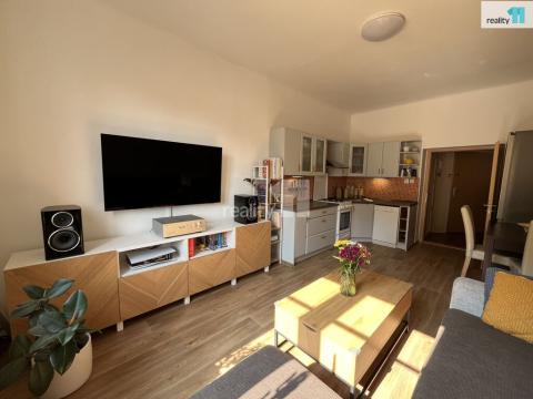 Prodej bytu 2+kk, Plzeň - Jižní Předměstí, Čechova, 51 m2