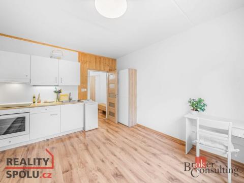 Pronájem bytu 1+kk, Plzeň - Doubravka, Na Dlouhých, 19 m2