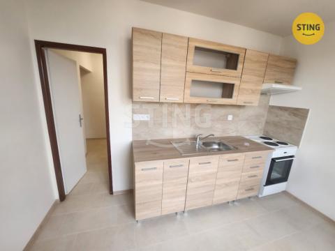 Pronájem bytu 2+1, Přerov, nábř. Protifašistických bojovníků, 52 m2