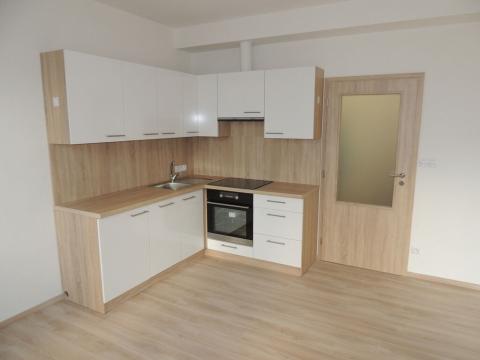 Pronájem bytu 1+kk, Plzeň, U Velkého rybníka, 34 m2