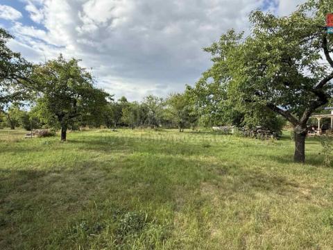 Prodej zahrady, Husinec, Na Kazatelně, 1198 m2