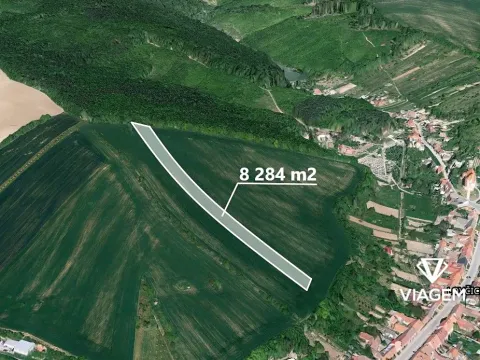 Prodej podílu pole, Lovčice, 4142 m2