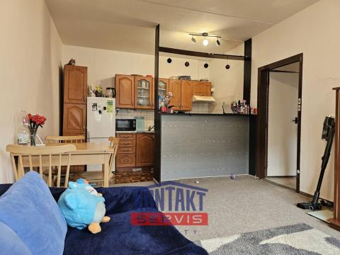 Prodej bytu 2+kk, České Budějovice, M. Chlajna, 39 m2