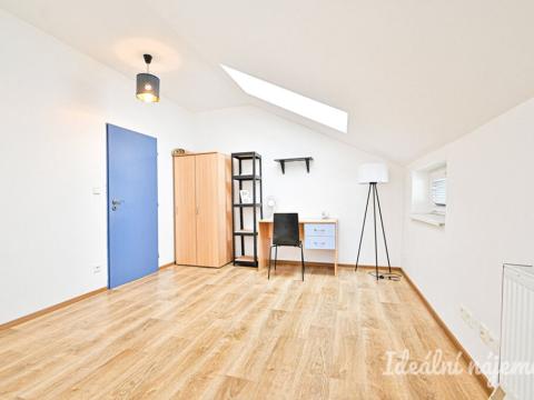 Pronájem bytu 1+kk, Brno, Cejl, 31 m2