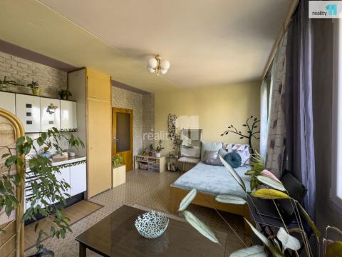 Prodej bytu 1+kk, Plzeň - Bolevec, Turistická, 27 m2