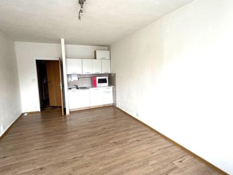 Pronájem bytu 1+kk, Ostrava, Lumírova, 28 m2