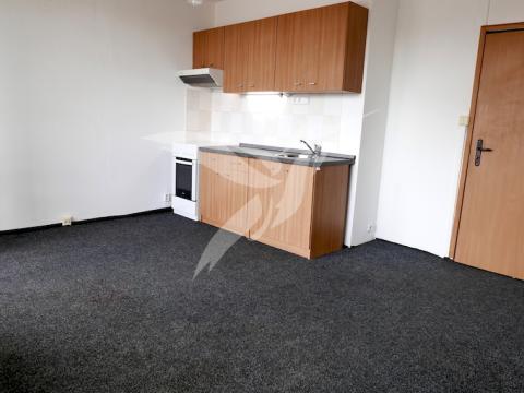 Pronájem bytu 1+kk, Plzeň, Tachovská, 29 m2