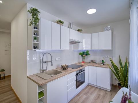 Pronájem bytu 2+1, Chomutov, Rokycanova, 49 m2