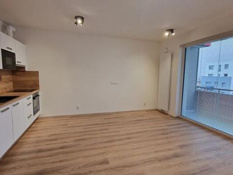 Pronájem bytu 1+kk, Plzeň, Studentská, 40 m2