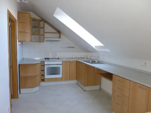 Pronájem bytu 3+kk, Plzeň - Černice, Na Vápenicích, 98 m2