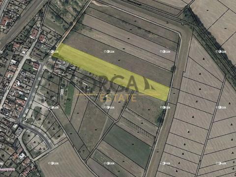 Prodej podílu pole, Moravský Písek, 2422 m2