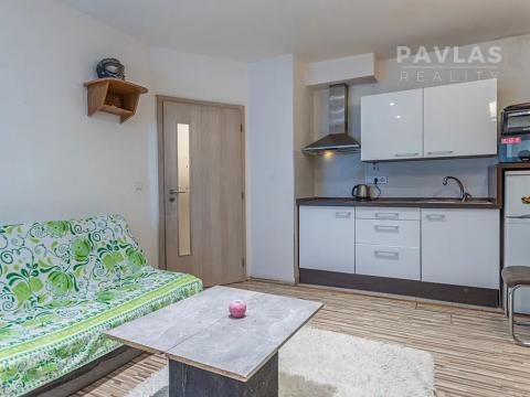 Pronájem bytu 1+kk, Dobrá Voda u Českých Budějovic, Lázeňská, 25 m2