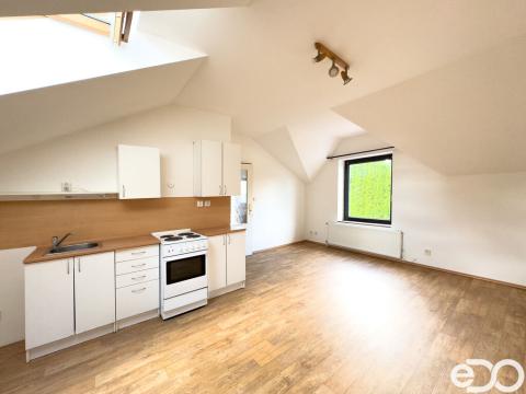 Pronájem bytu 1+kk, Liberec, Michelský vrch, 33 m2
