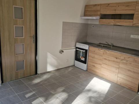 Pronájem bytu 1+1, Děčín - Děčín VI-Letná, 44 m2