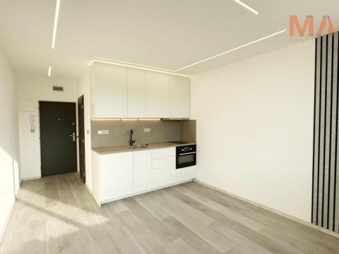 Pronájem bytu 1+kk, Chomutov, Havlíčkova, 21 m2