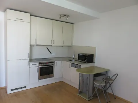 Pronájem bytu 1+kk, Praha - Vysočany, Paříkova, 31 m2