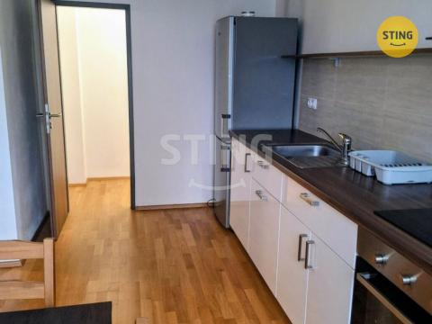 Pronájem bytu 1+1, Brno - Veveří, 43 m2