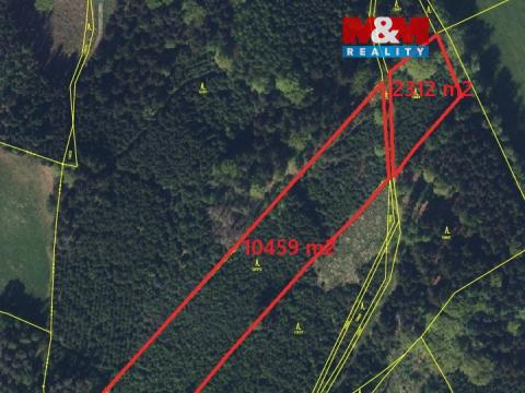 Prodej lesa, Velké Poříčí, 14479 m2