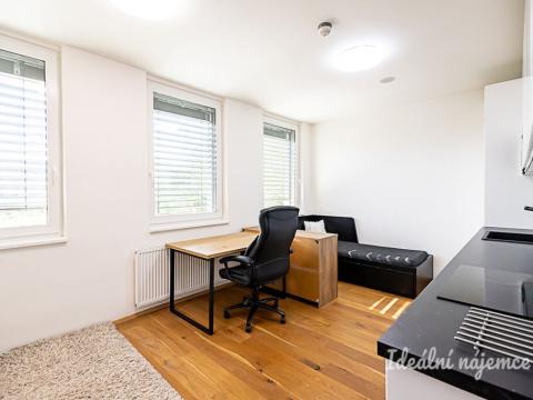 Pronájem bytu 1+kk, Praha - Vinohrady, Perucká, 26 m2