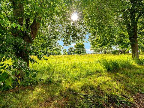 Prodej pozemku pro bydlení, Čestice, 1644 m2