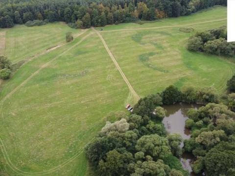 Prodej louky, Borohrádek, 25790 m2