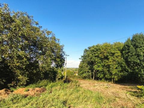 Prodej louky, Ostrava - Koblov, Výklopná, 5944 m2