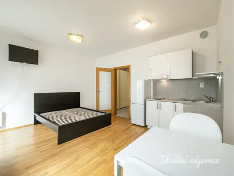Pronájem bytu 1+kk, Praha - Žižkov, Baranova, 32 m2