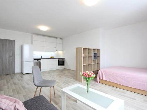 Pronájem bytu 1+kk, Brno - Štýřice, Vídeňská, 41 m2