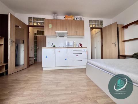 Pronájem bytu 1+kk, Praha - Veleslavín, Evropská, 35 m2
