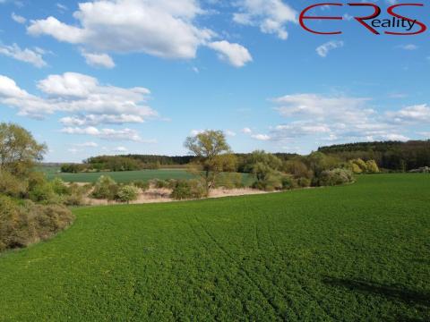Prodej louky, Městec Králové, 28150 m2