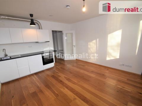 Pronájem bytu 1+kk, Praha - Vinohrady, Perucká, 27 m2