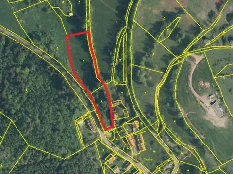 Prodej pozemku pro bydlení, Nechvalice - Ředice, 4965 m2