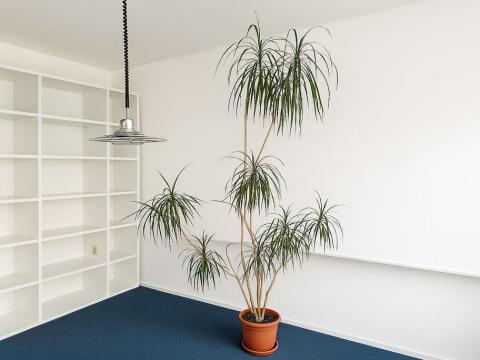Pronájem bytu 2+1, Havířov - Město, Národní třída, 62 m2