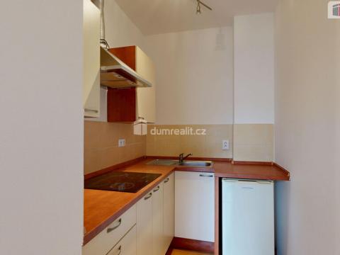 Pronájem bytu 1+kk, Opava - Předměstí, Hauerova, 27 m2