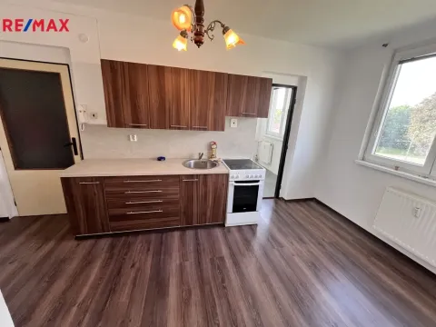 Prodej bytu 3+1, Nová Cerekev, 58 m2