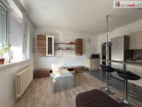Pronájem bytu 2+kk, Ústí nad Labem - Severní Terasa, Ježkova, 40 m2