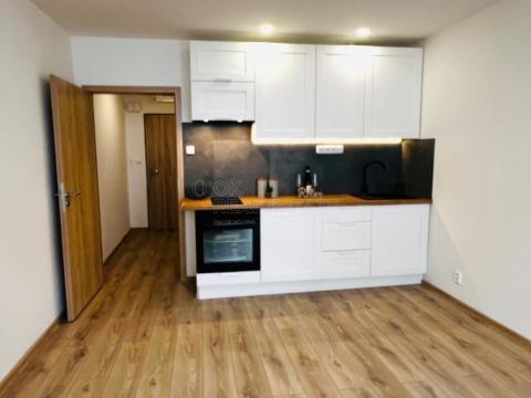 Prodej bytu 1+kk, Ostrava, U Parku, 25 m2